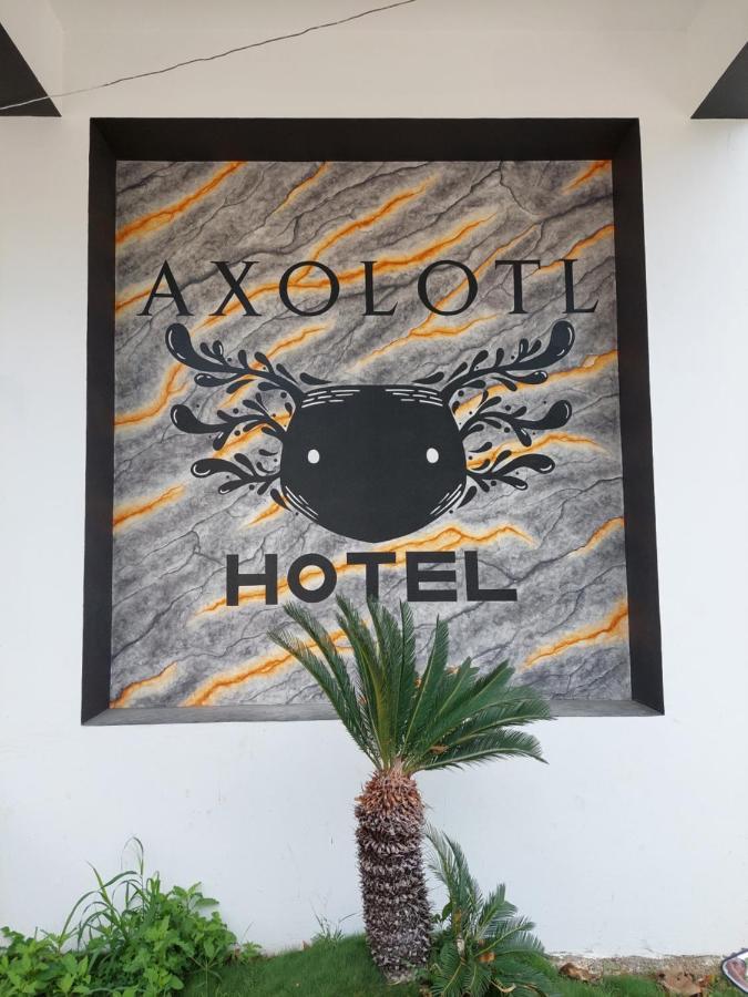 Hotel Axolotl Puerto Escondido  Esterno foto